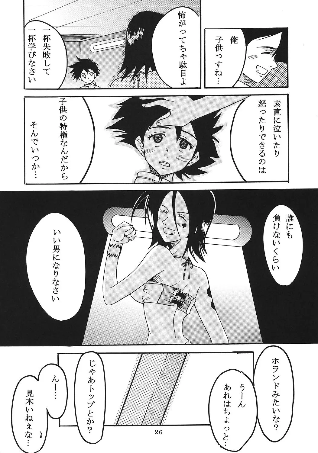 Page 27