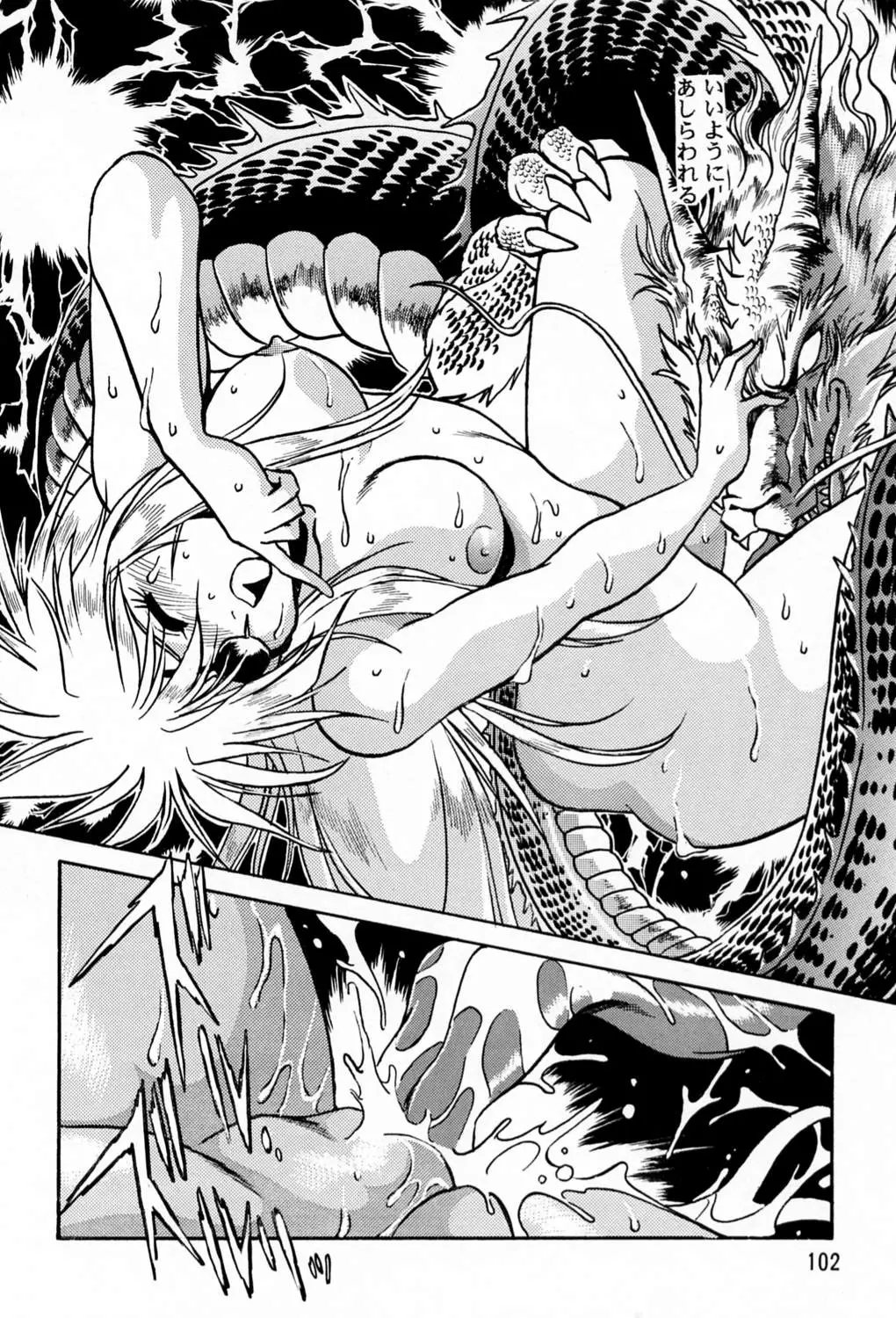 Page 101