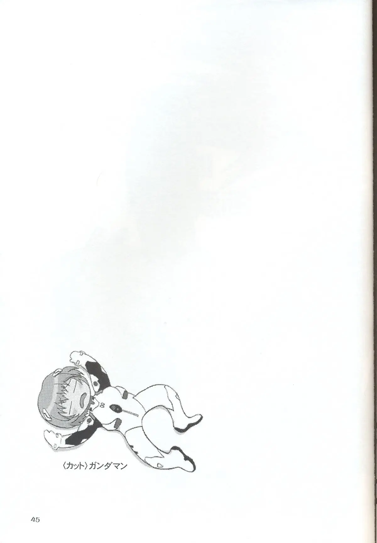 Page 43