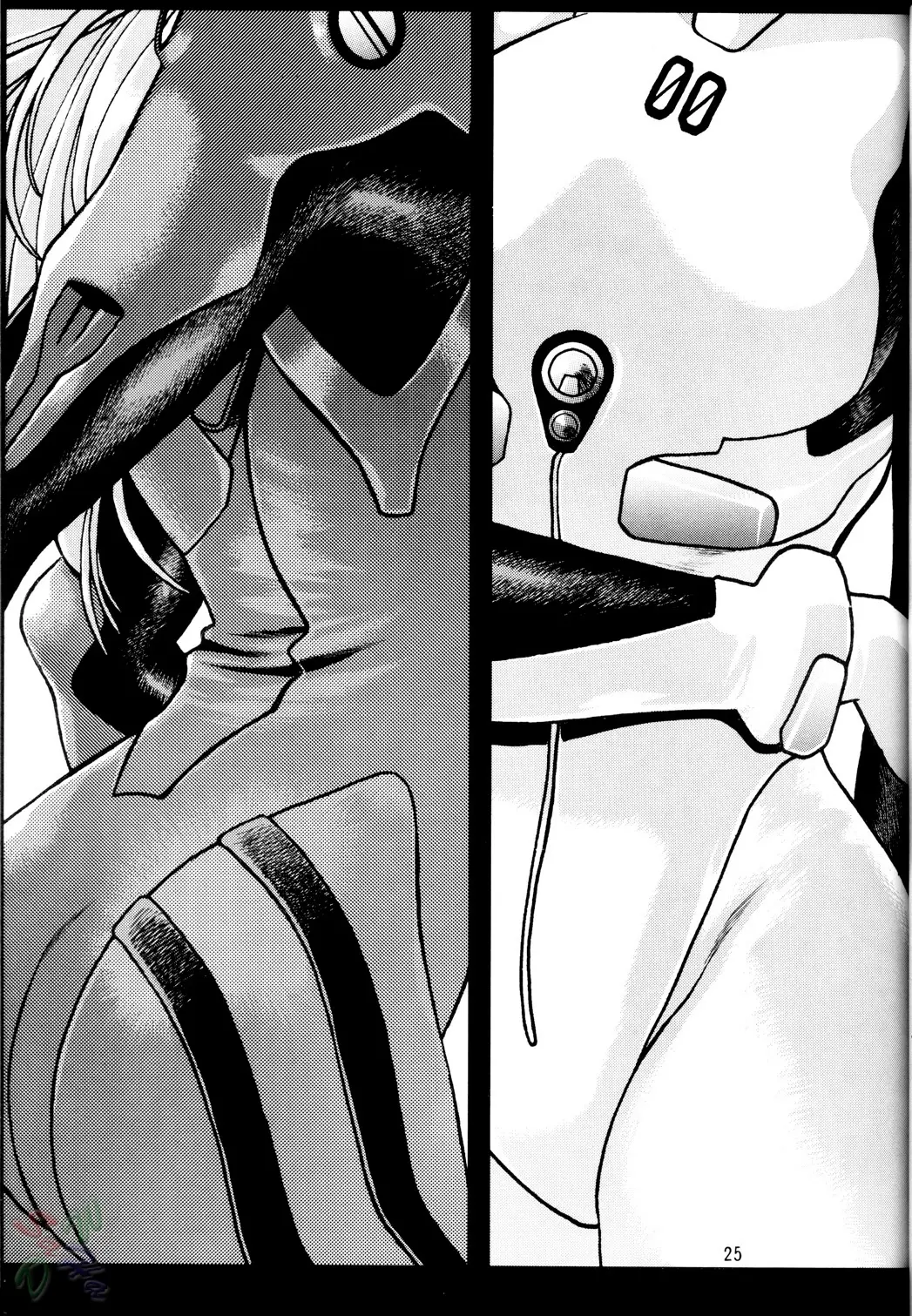 Page 25