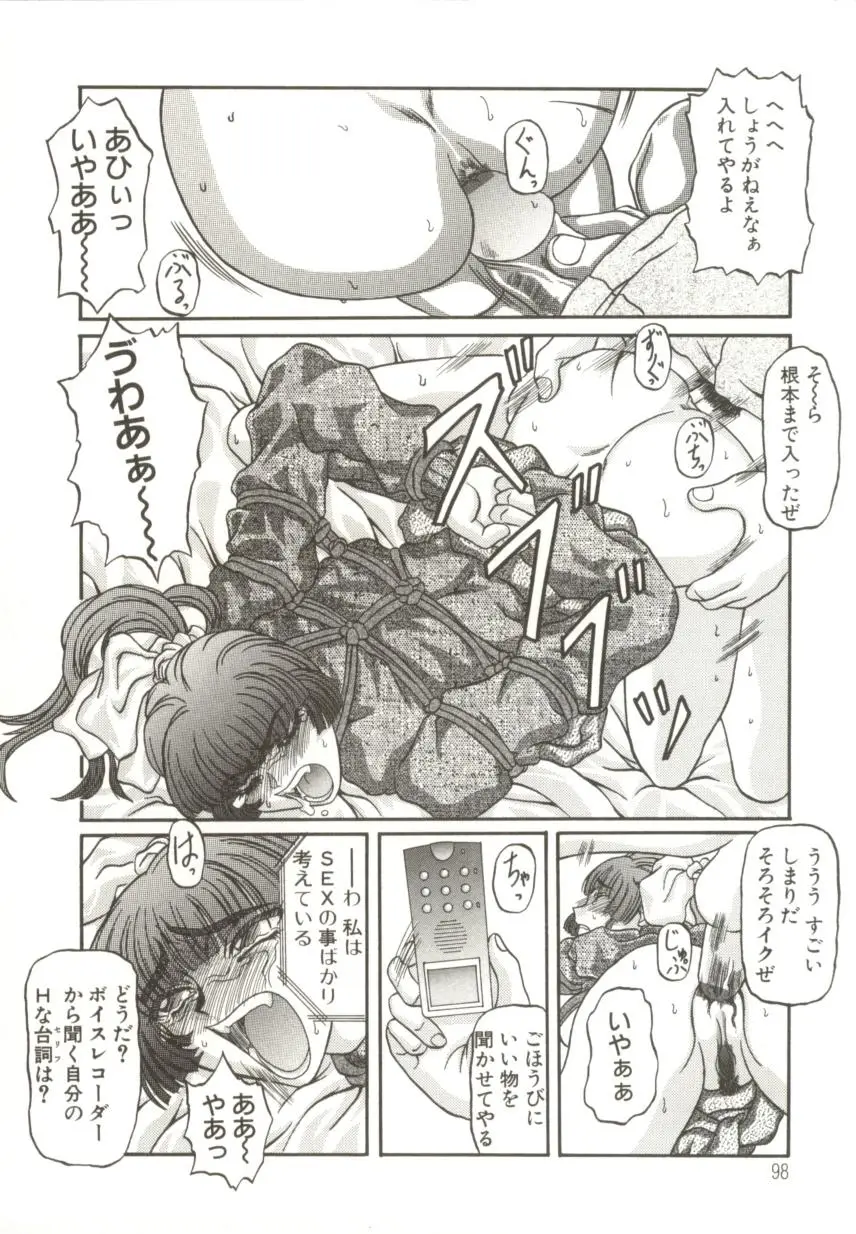 Page 101