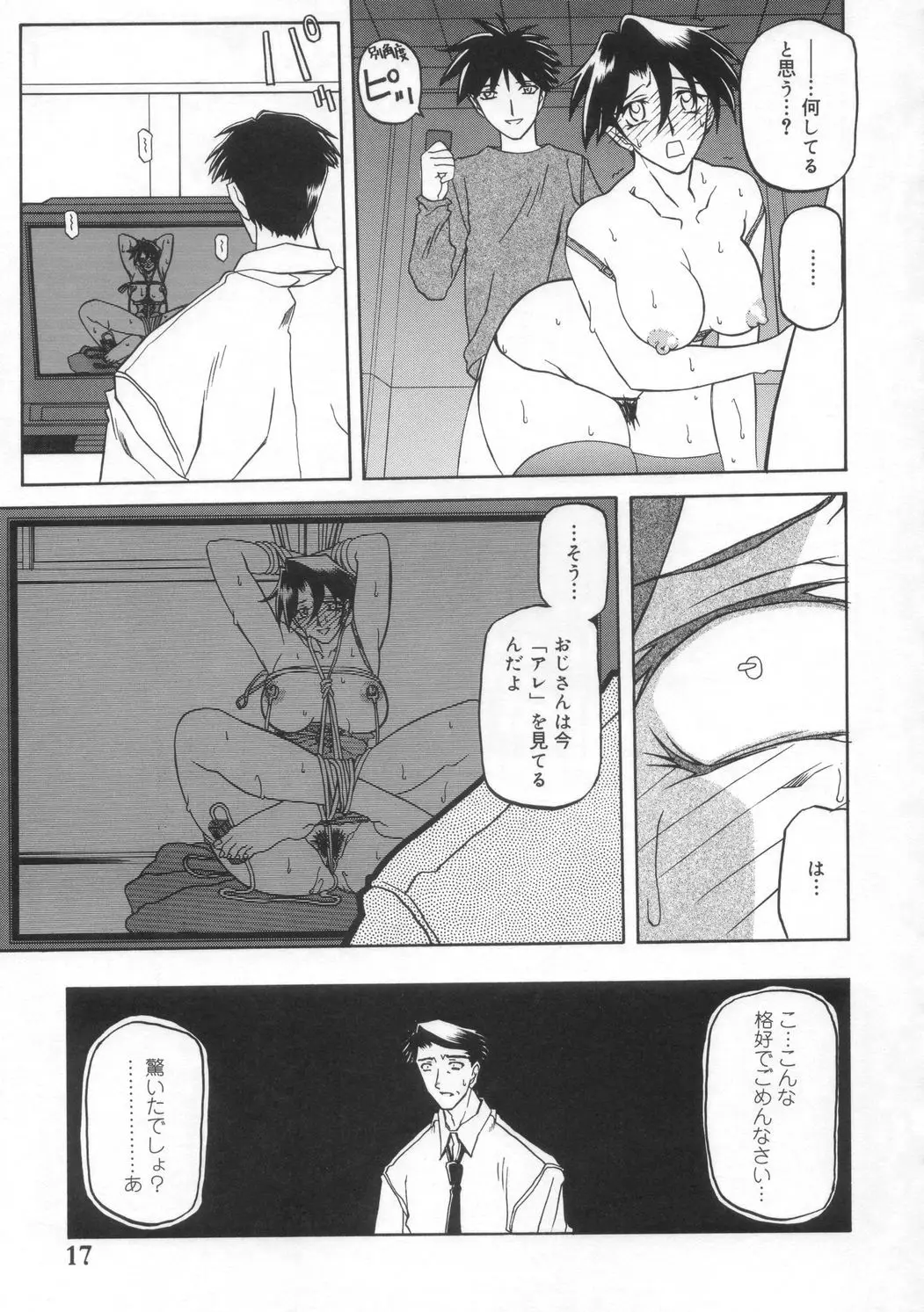 Page 17