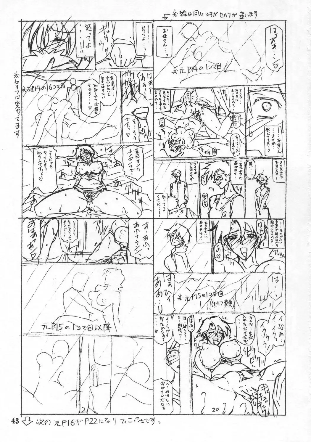 Page 43