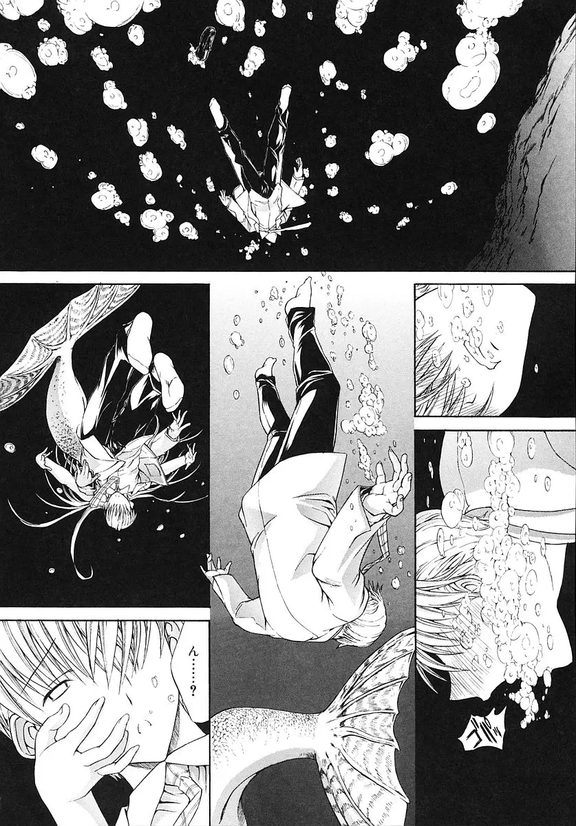 Page 204