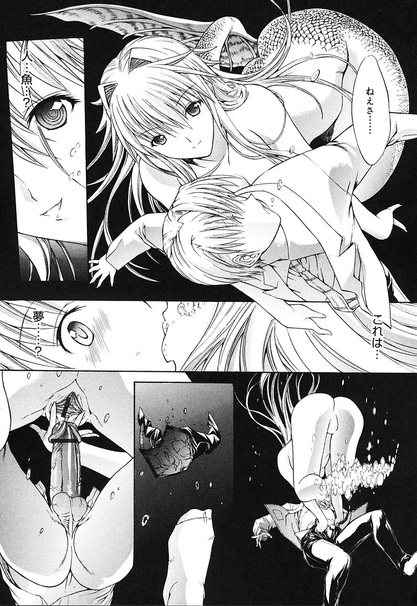 Page 205