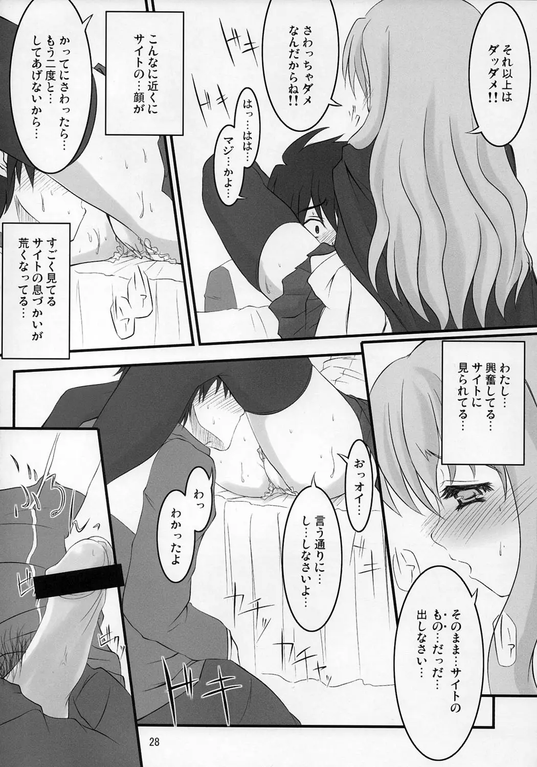Page 27