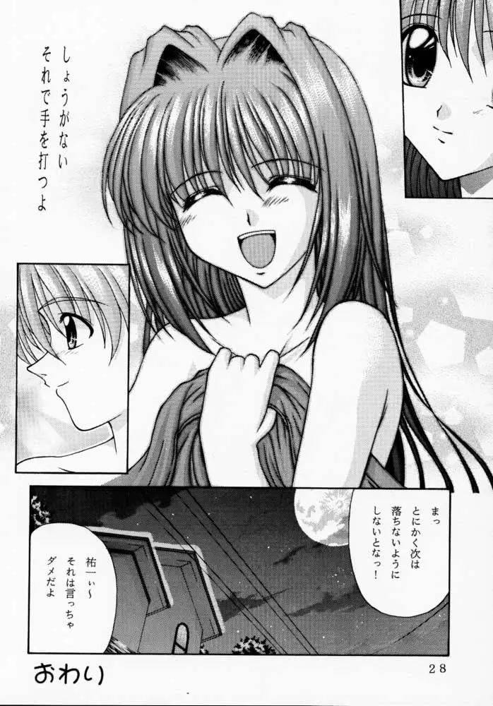 Page 29