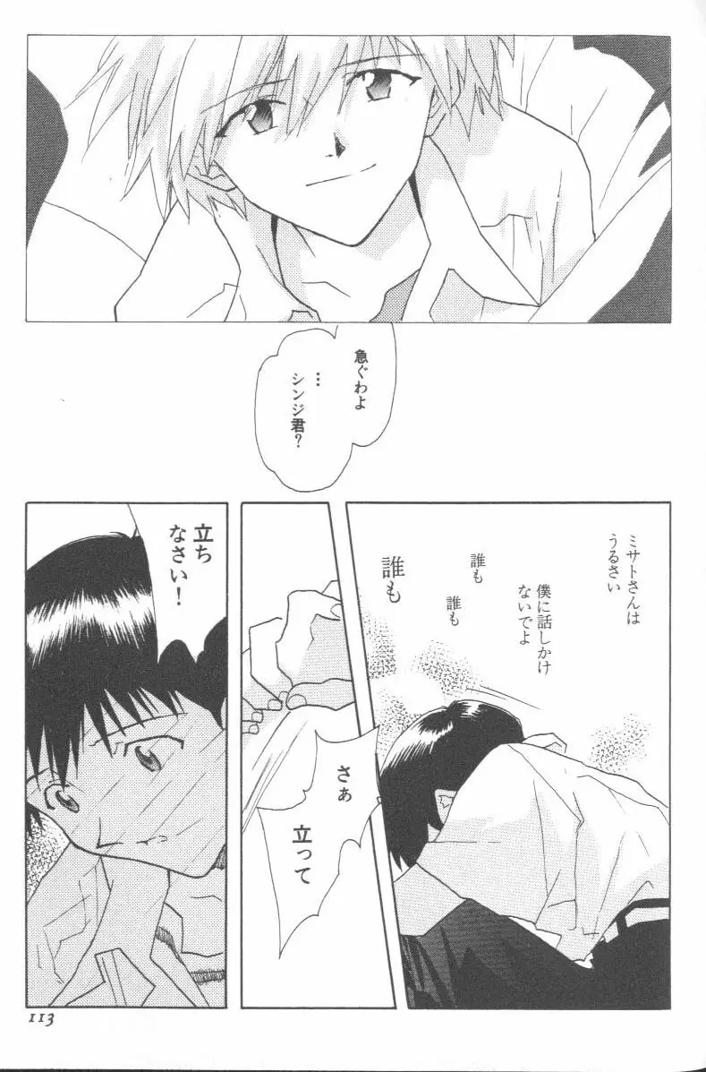 Page 111