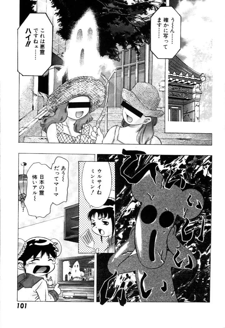 Page 102