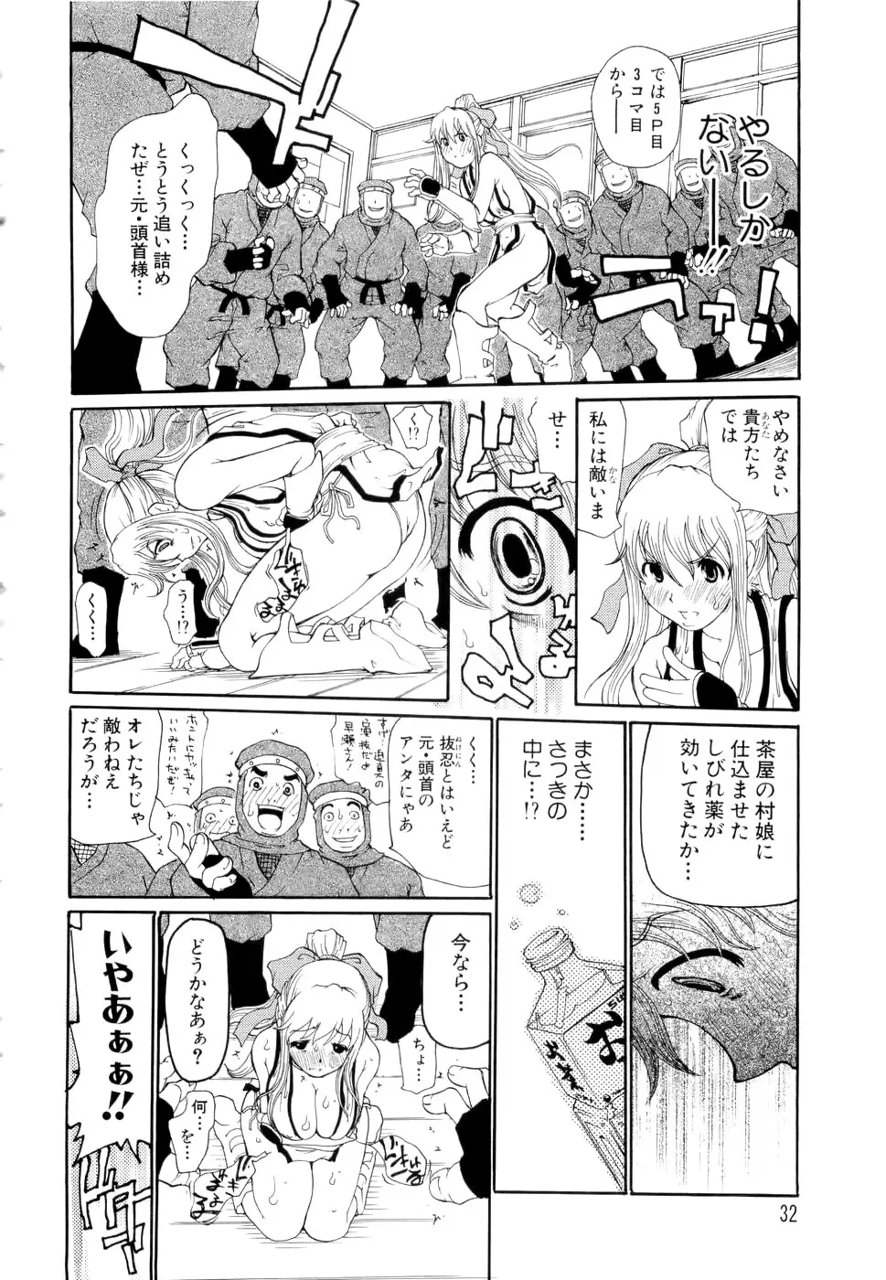 Page 33