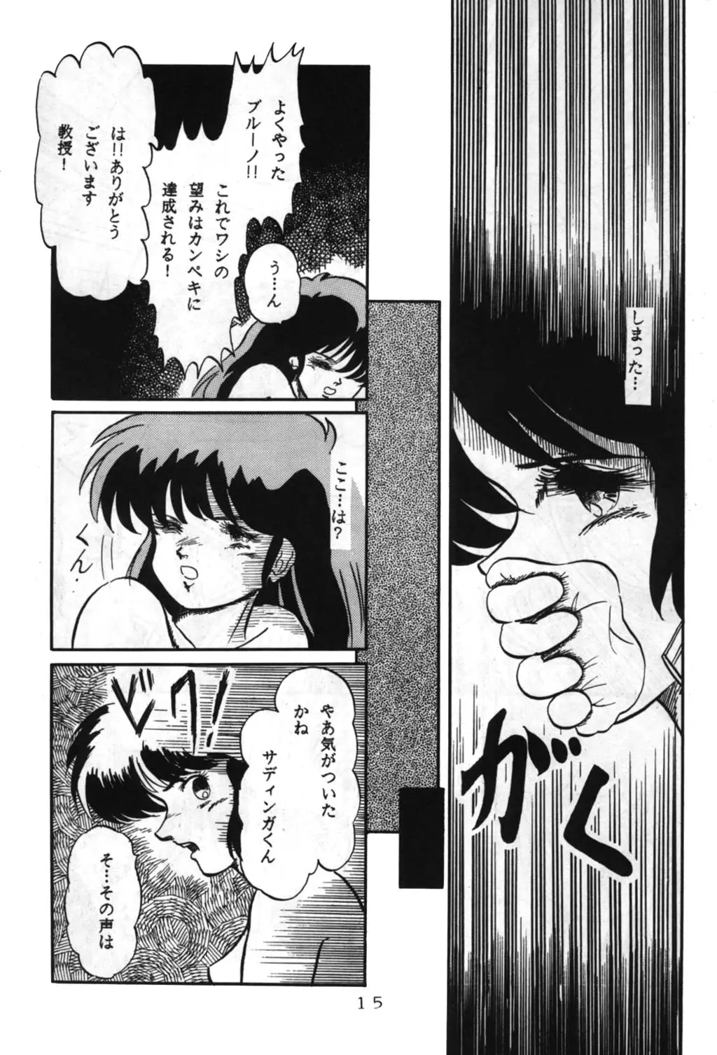 Page 15