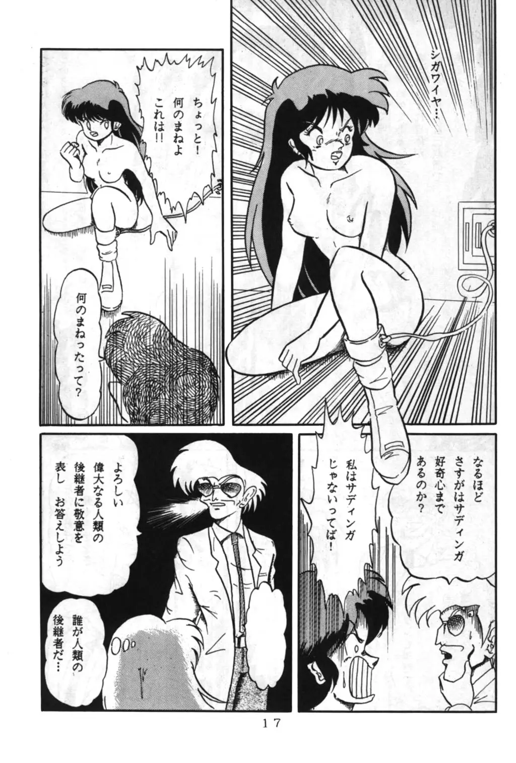 Page 17