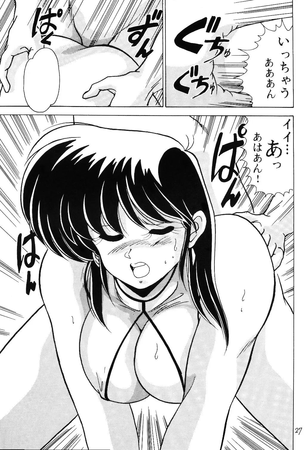Page 27