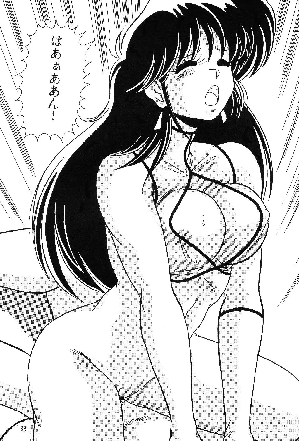 Page 33