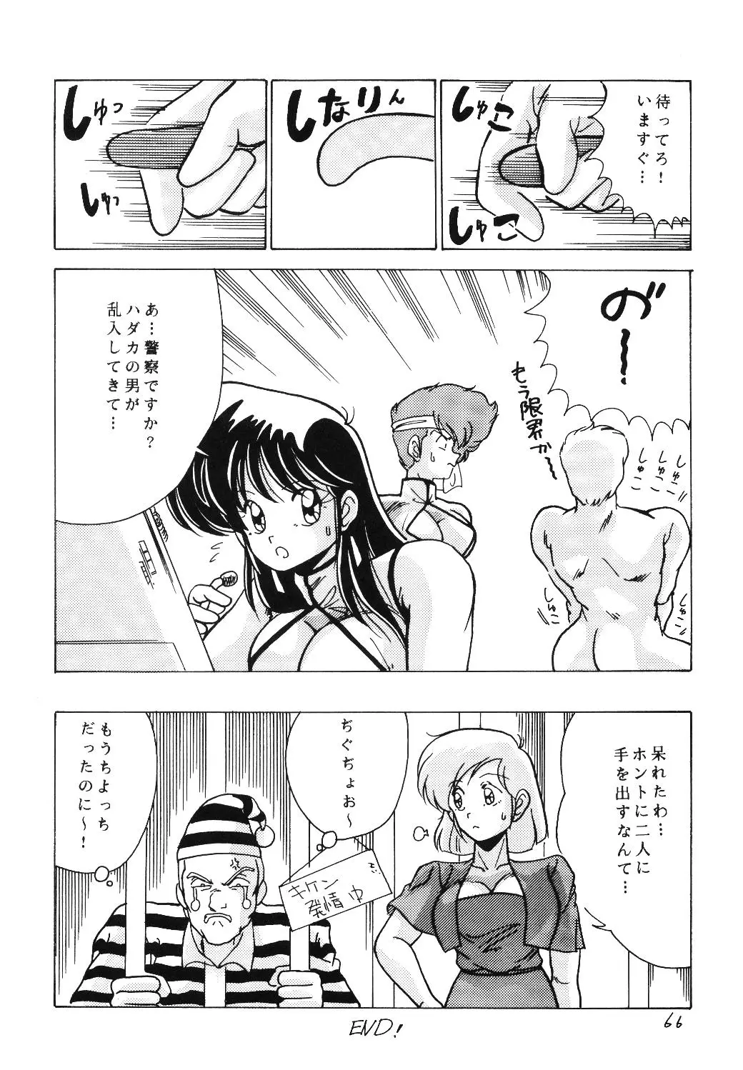 Page 65