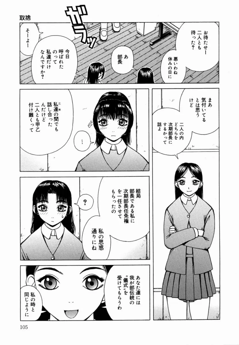 Page 106