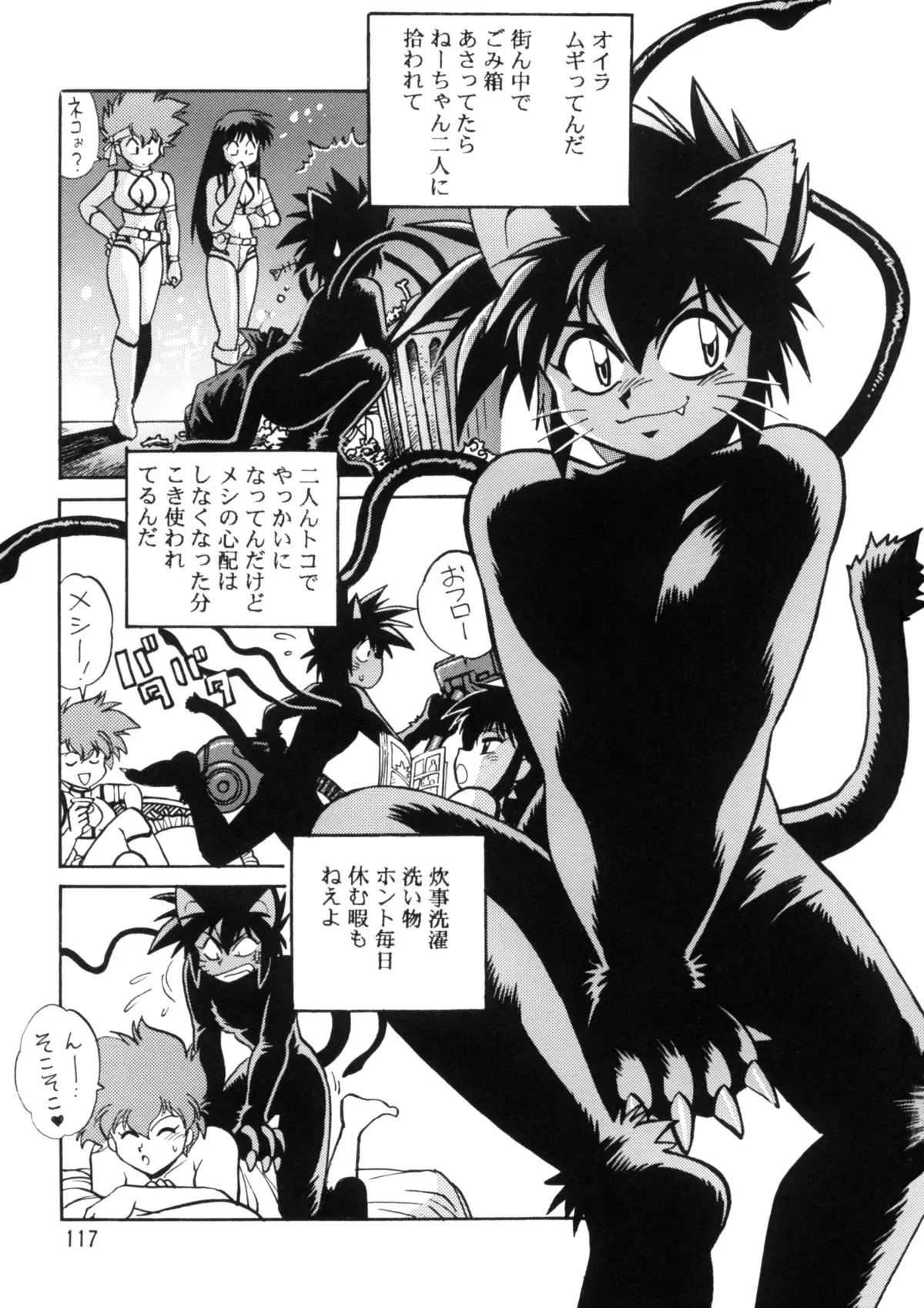 Page 116