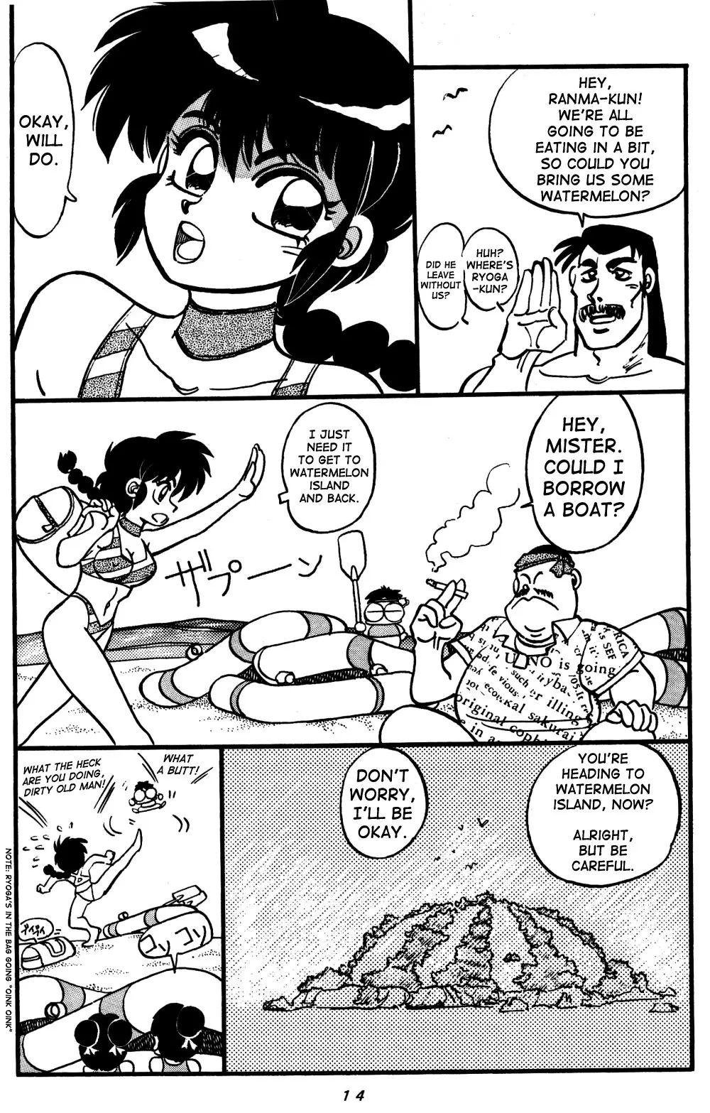 Page 14