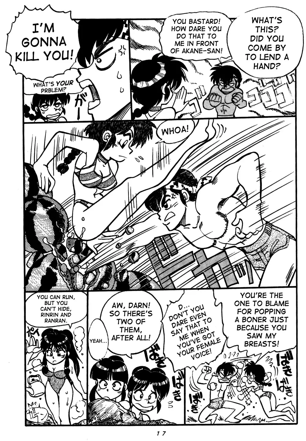 Page 17