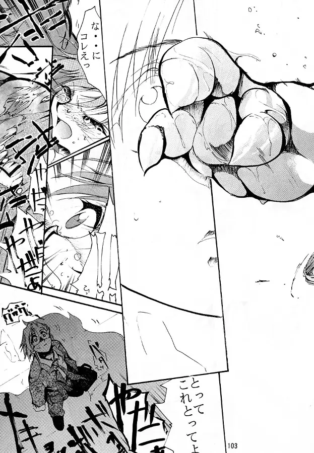 Page 102