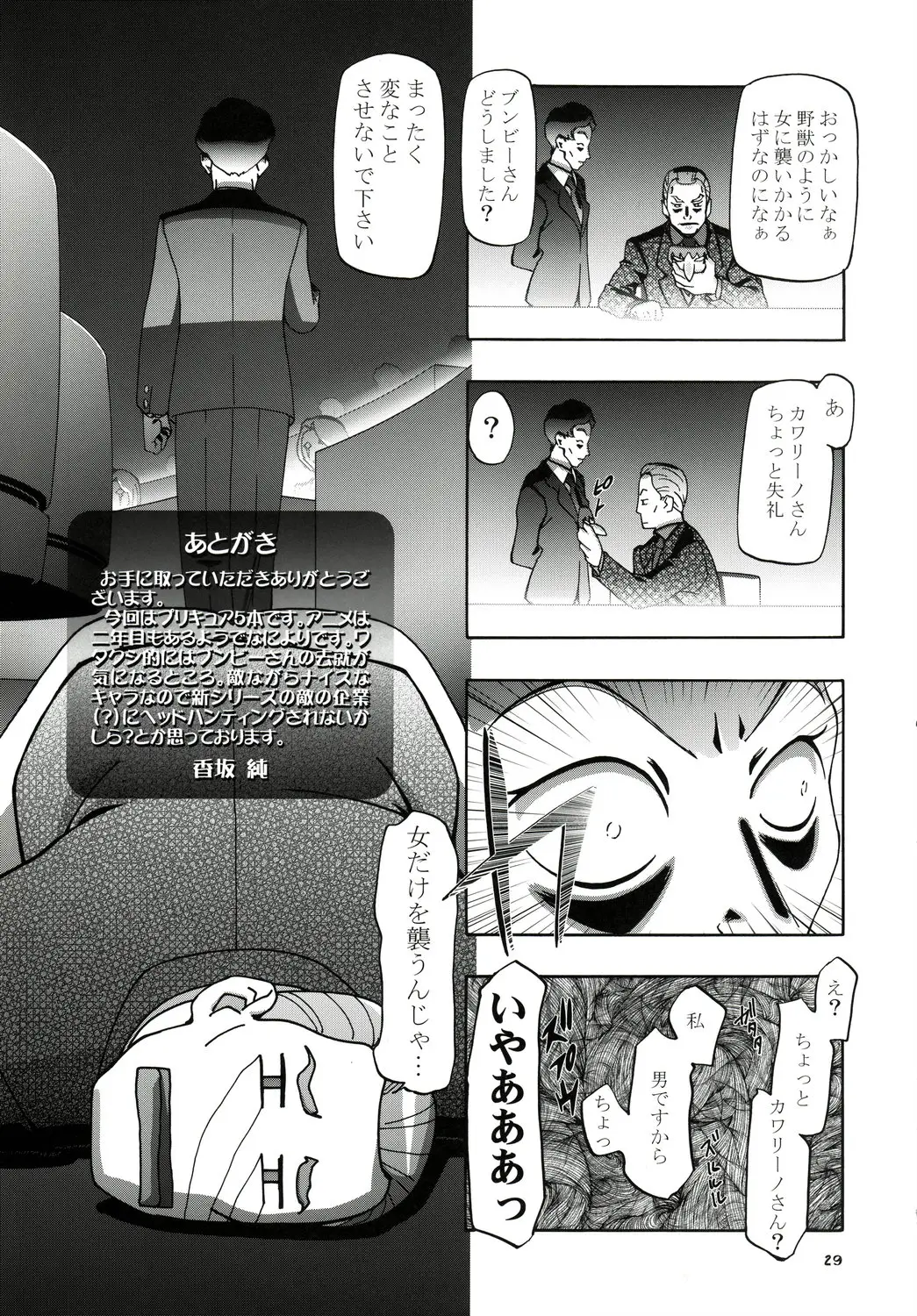 Page 29