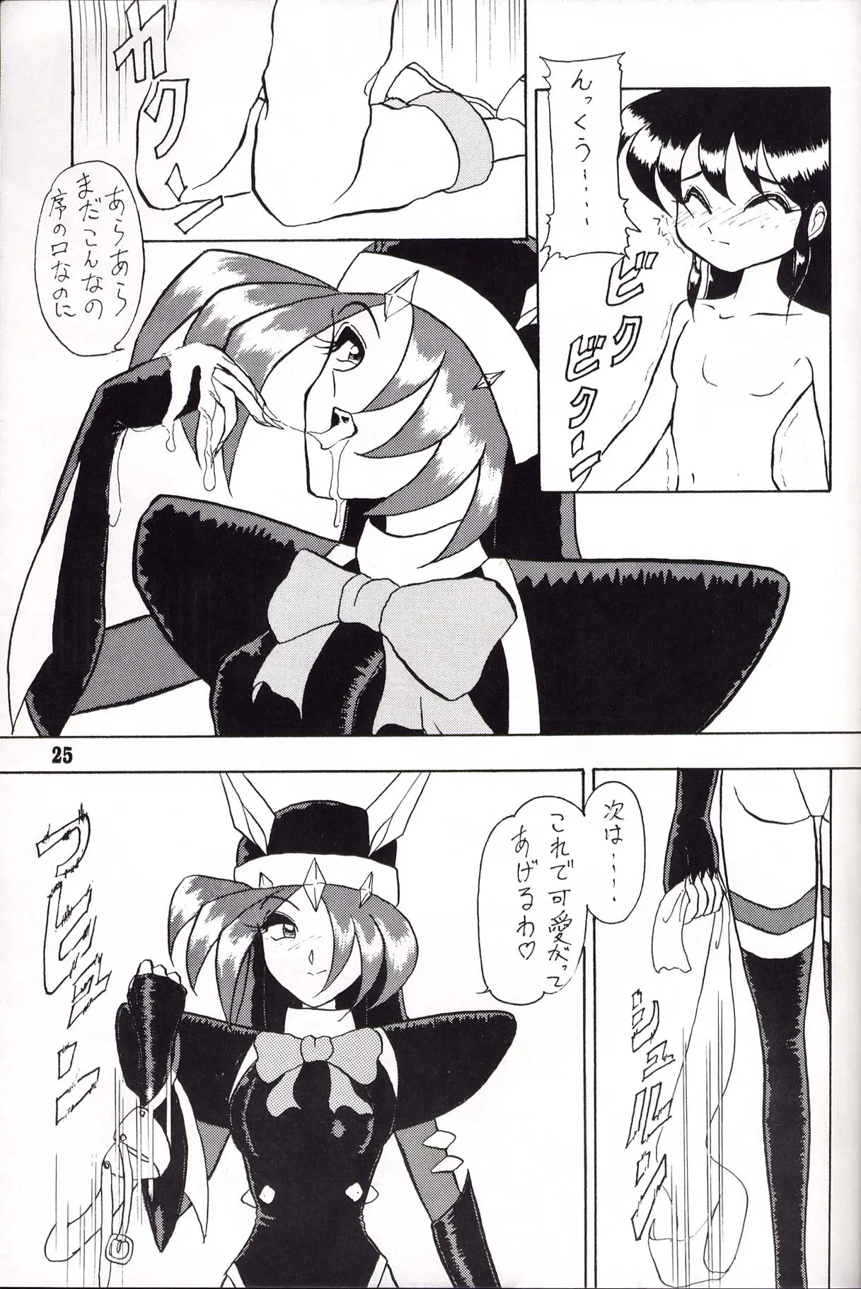 Page 25