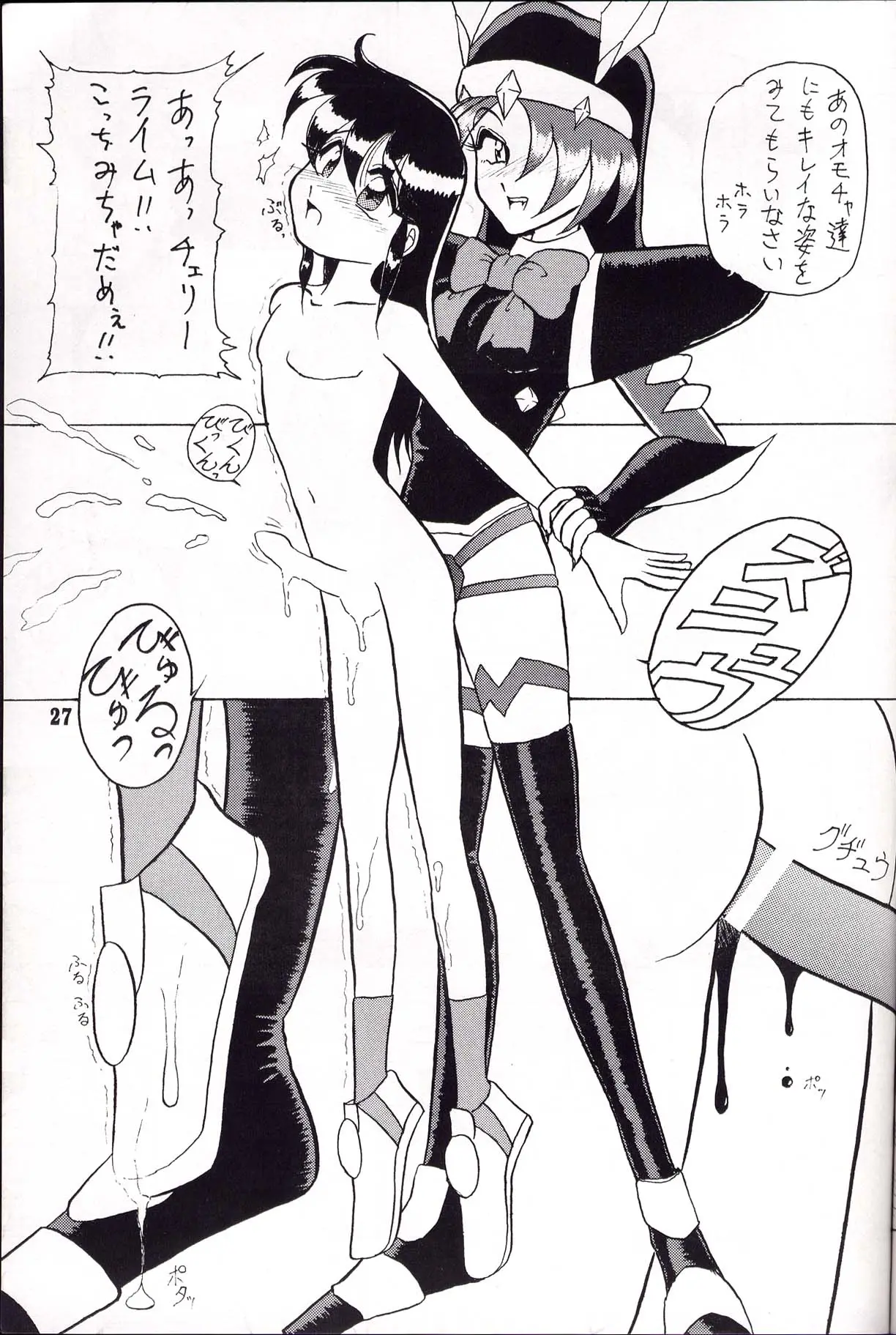 Page 27