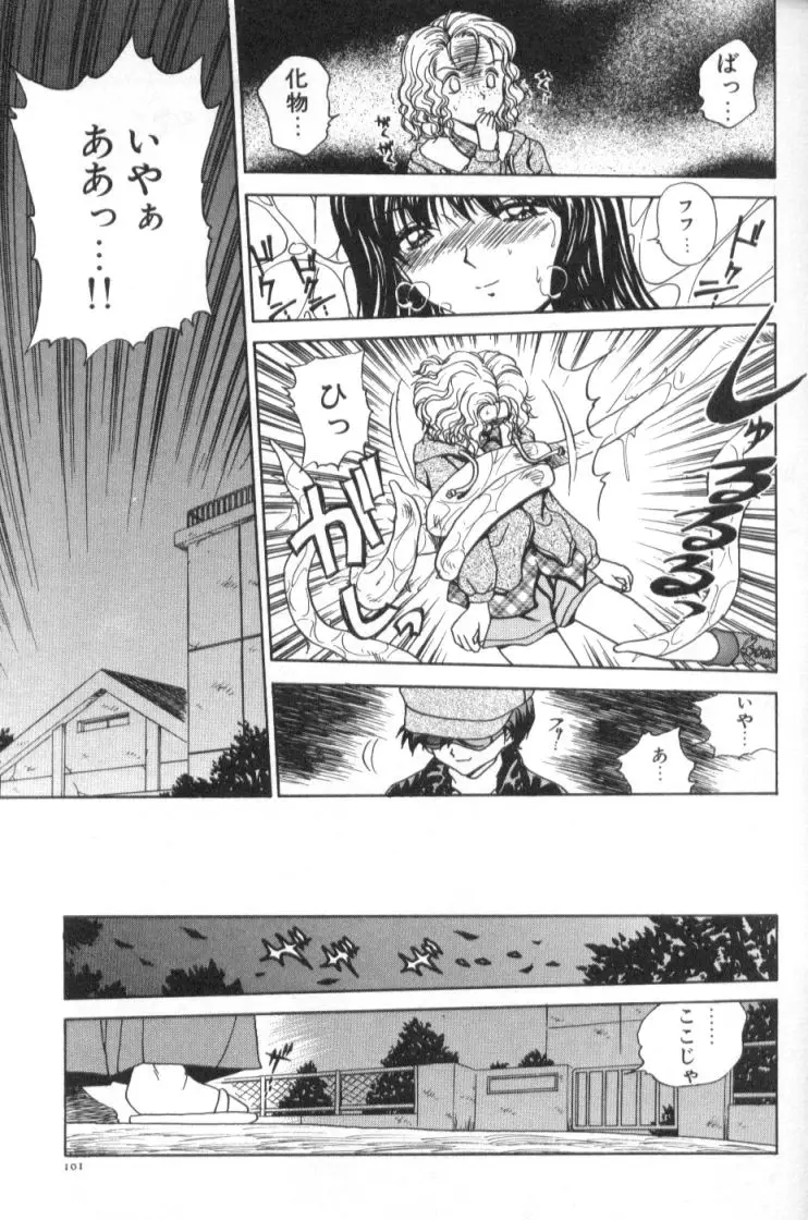 Page 102