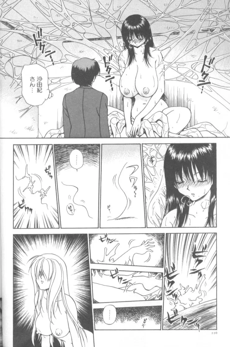 Page 111