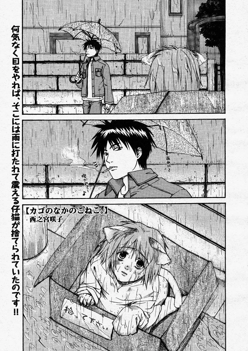 Page 231
