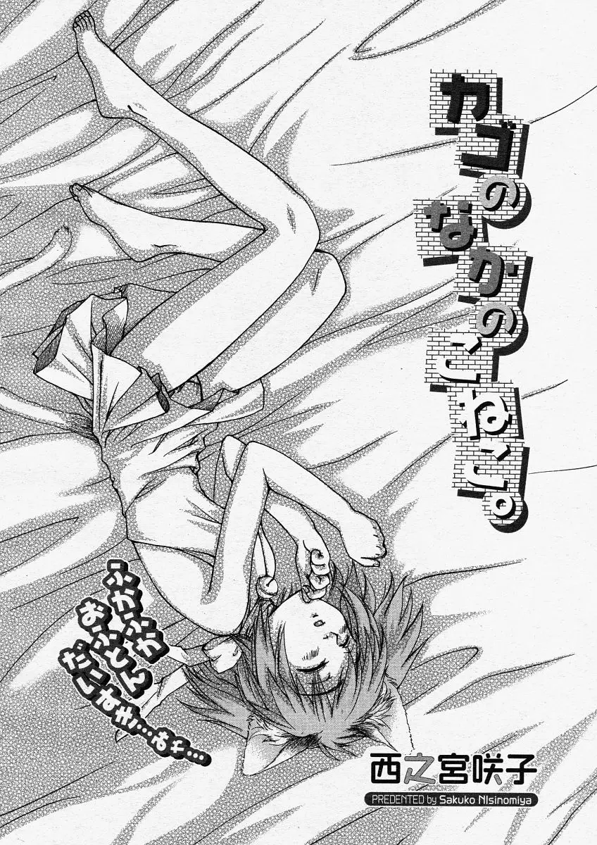 Page 232