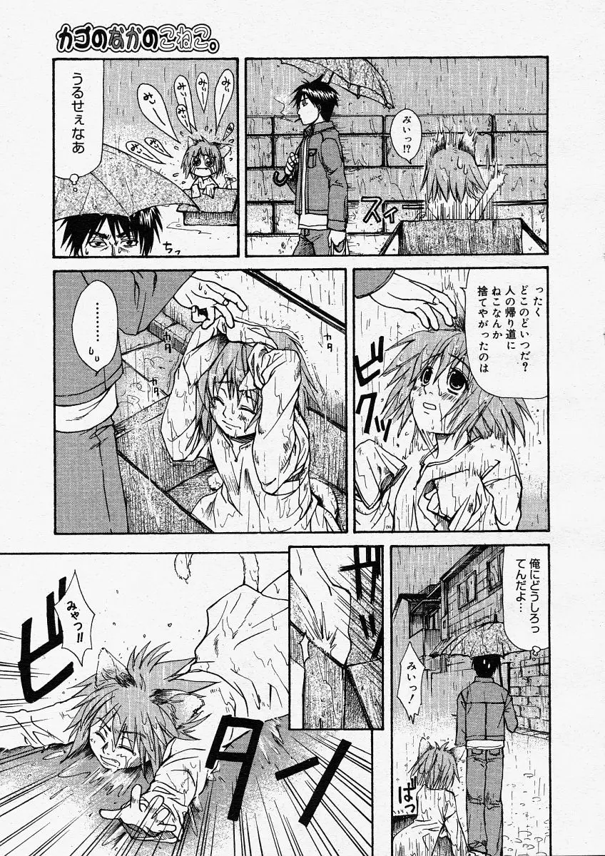 Page 233