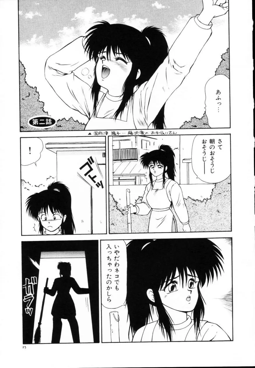 Page 27