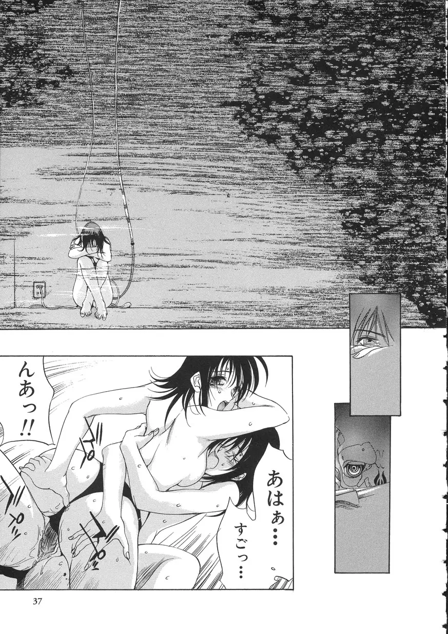 Page 37