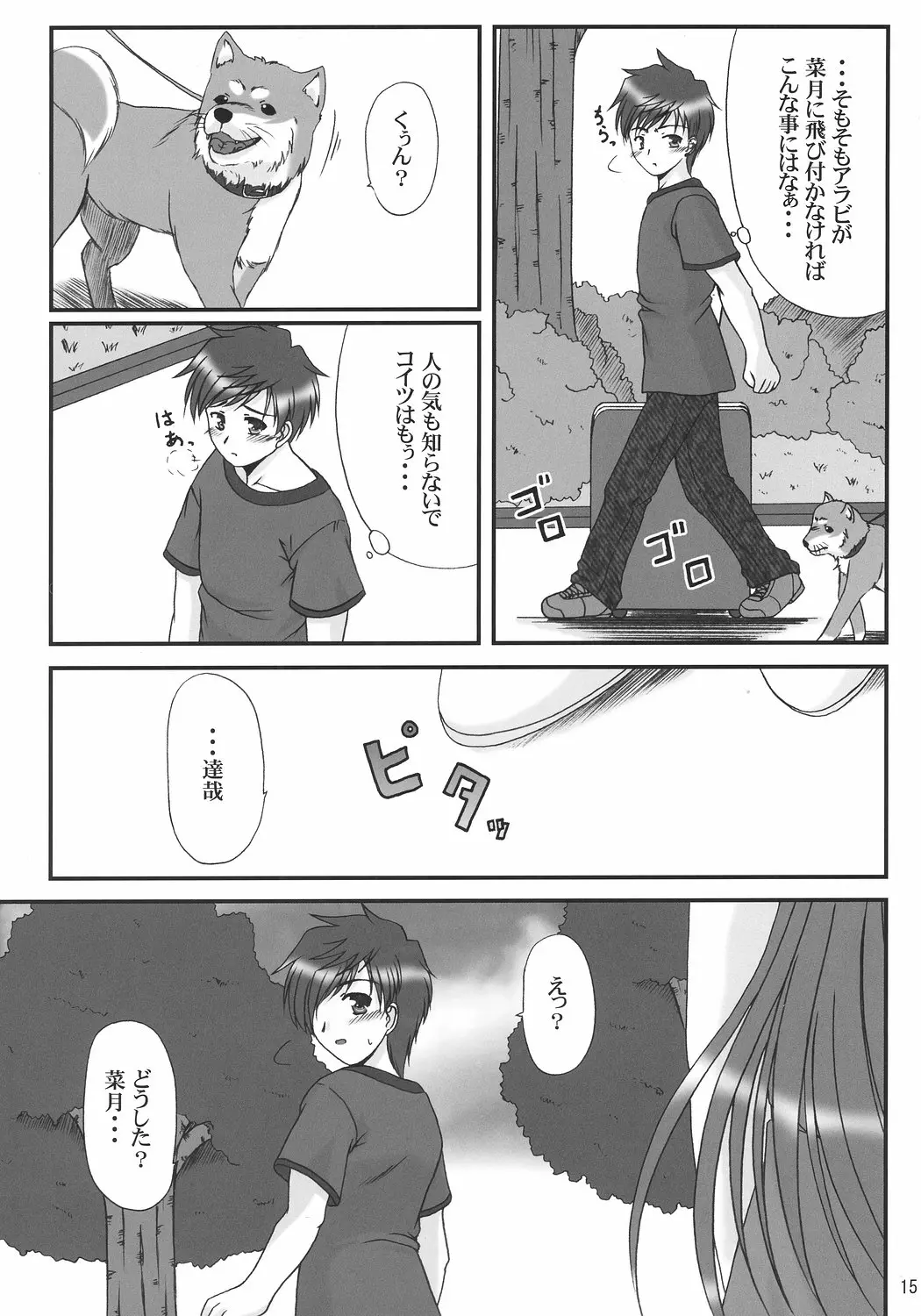Page 14