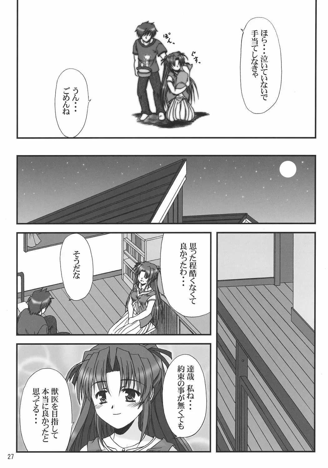 Page 26