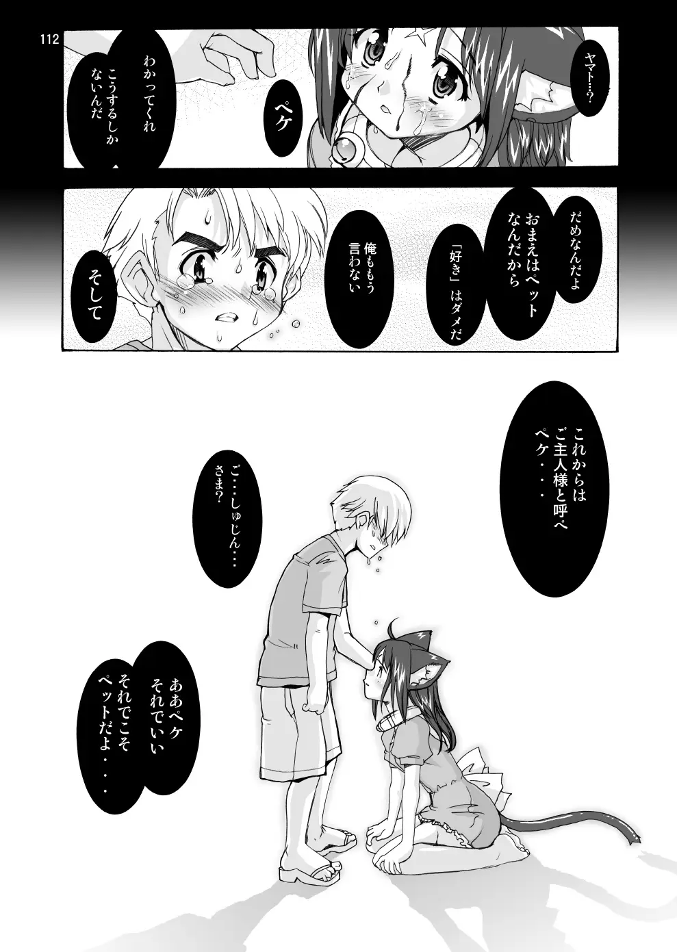 Page 111