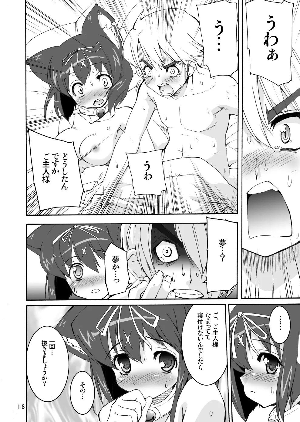 Page 117
