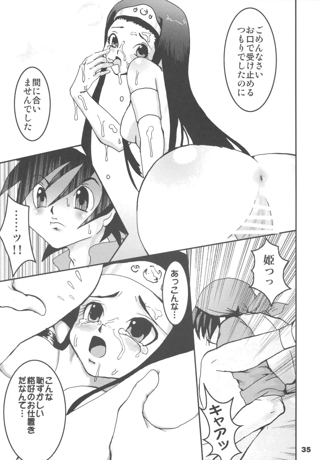 Page 34