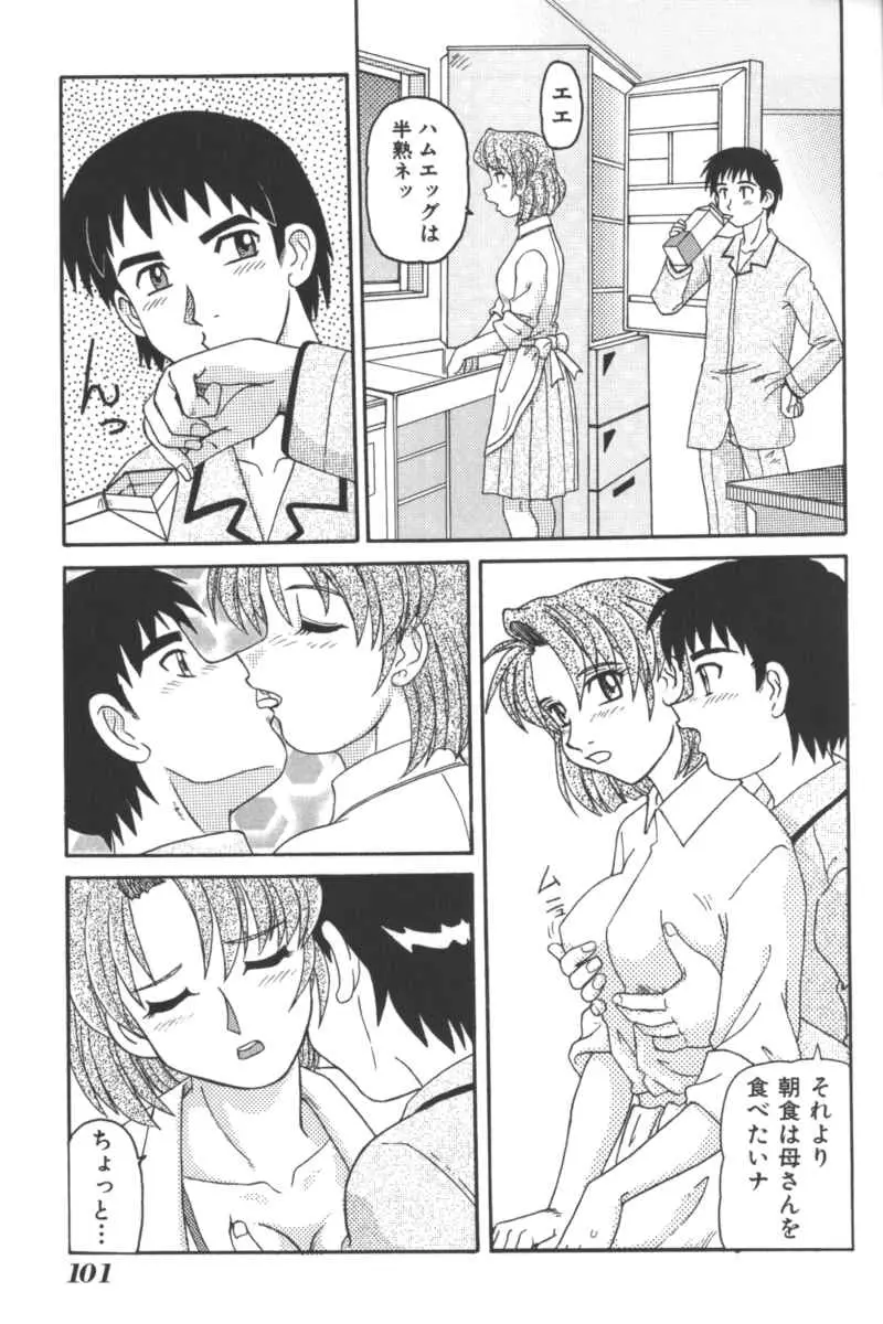 Page 100
