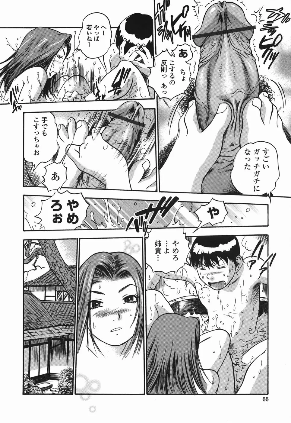 Page 66
