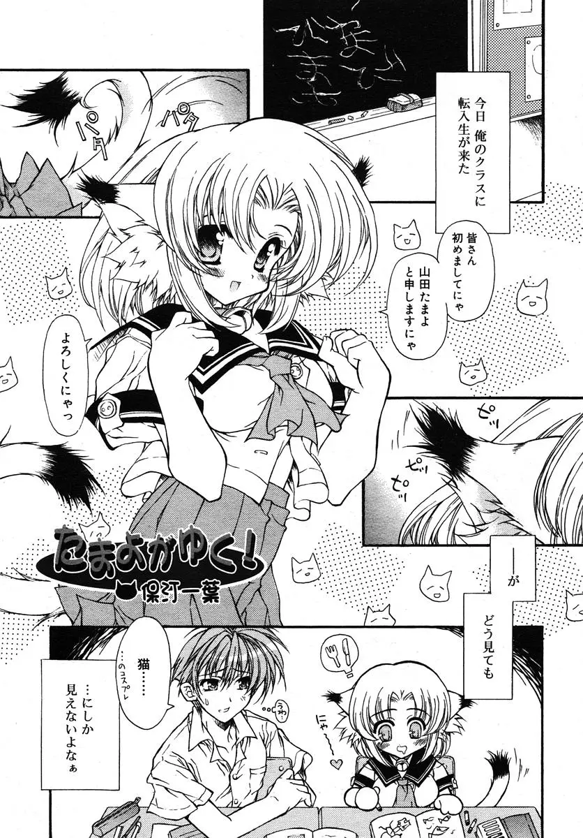 Page 253