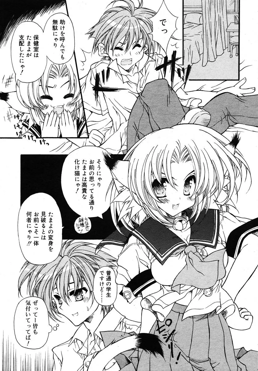Page 255