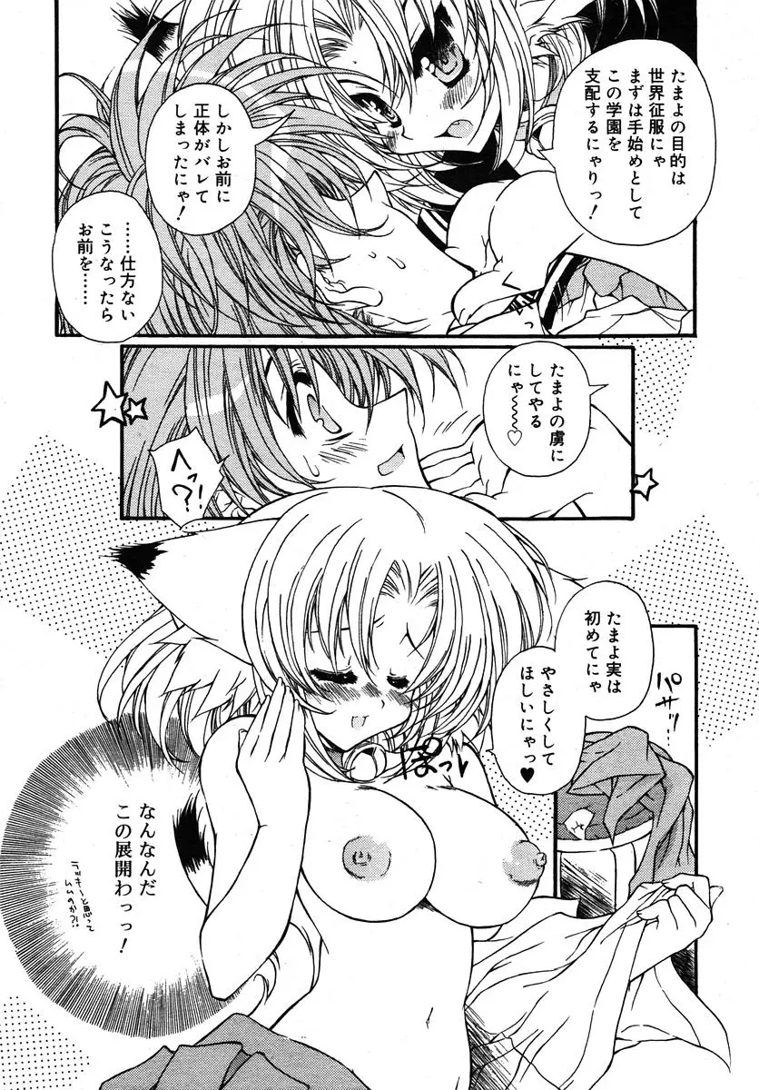 Page 256