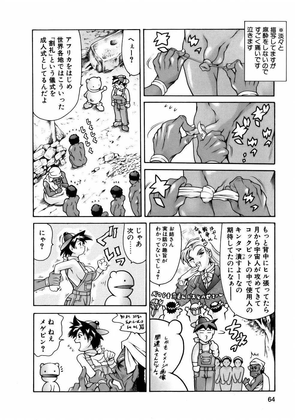 Page 66