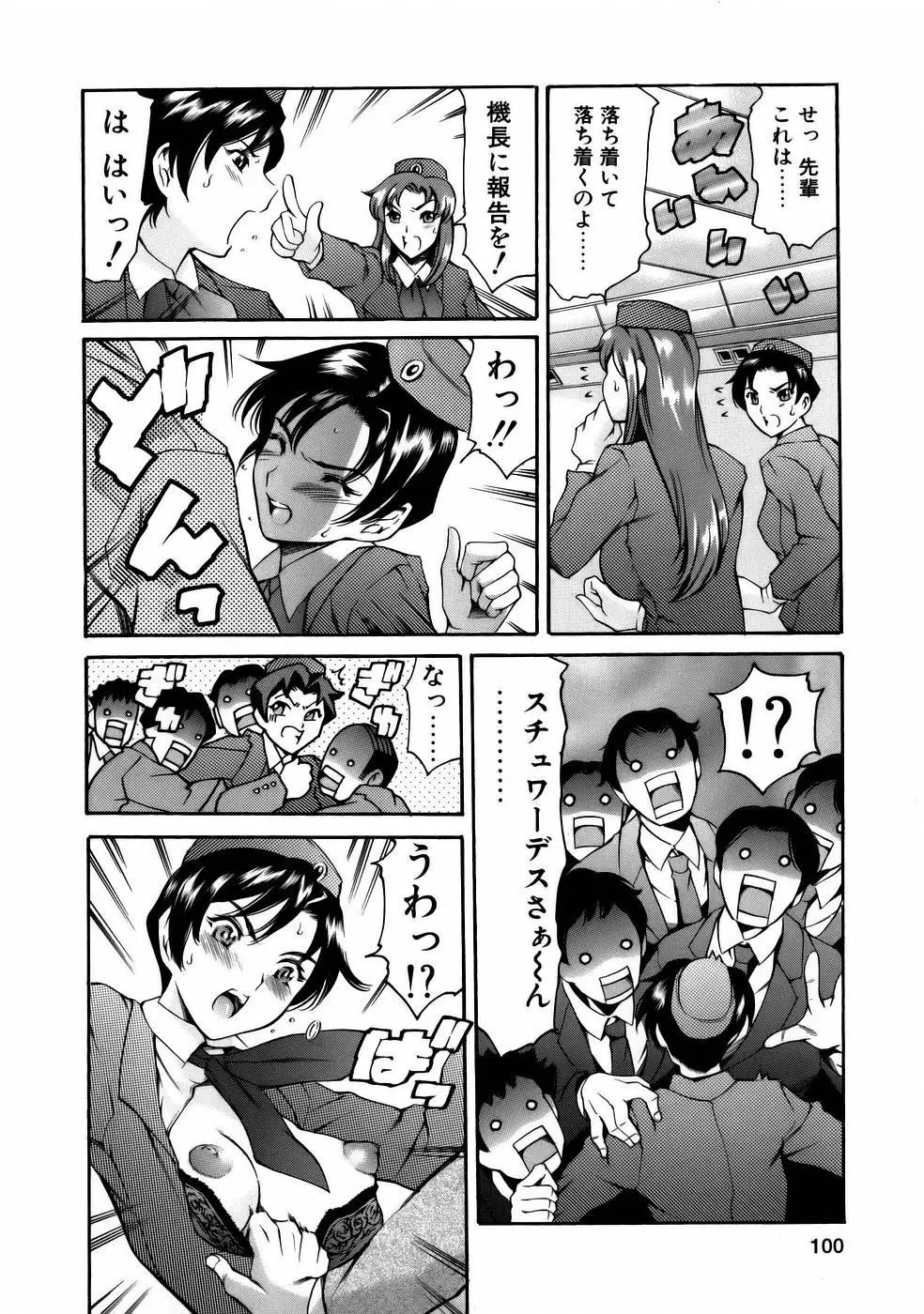 Page 102