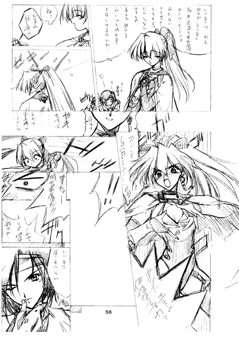 Page 55