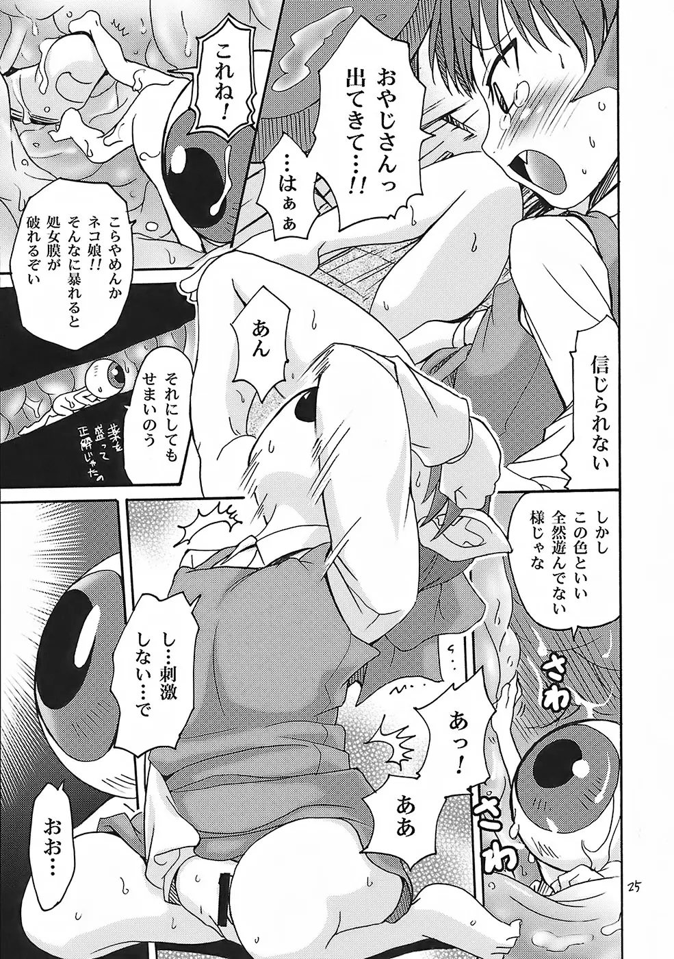 Page 25