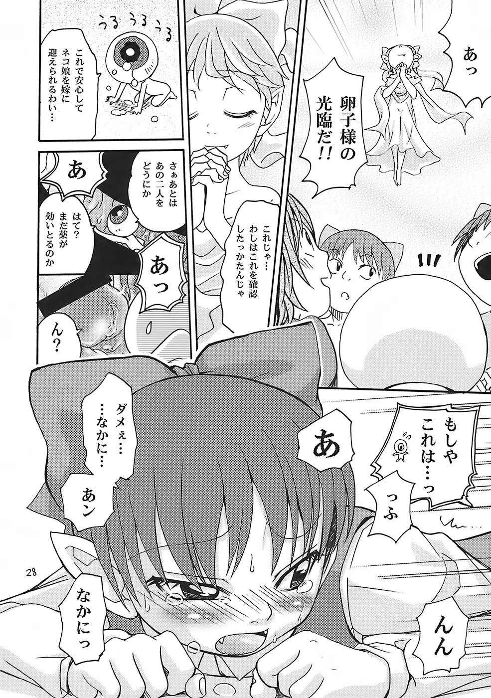 Page 27