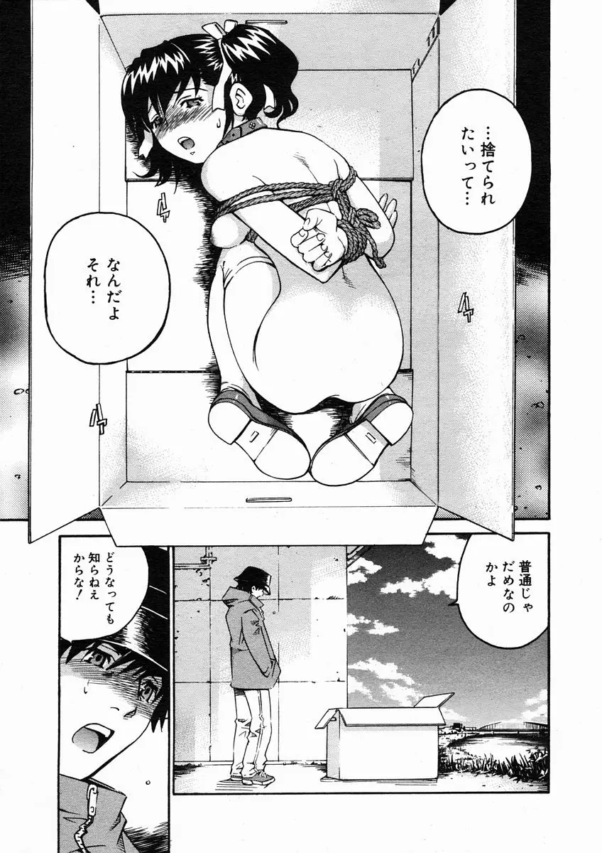 Page 239